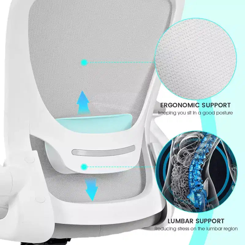 Chaise de bureau ergonomique