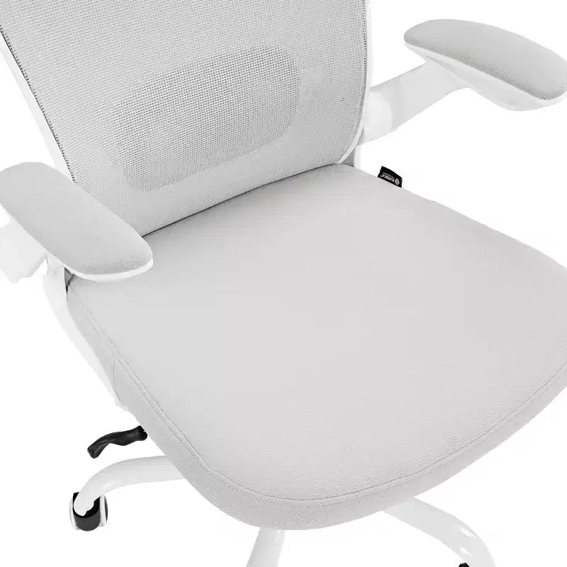 Chaise de bureau ergonomique