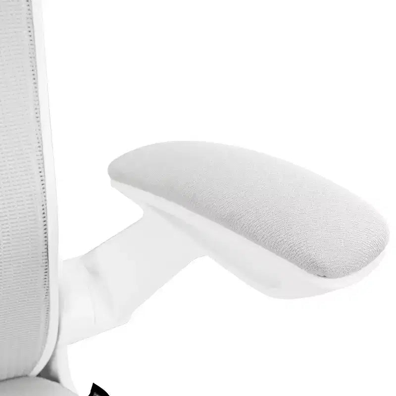 Chaise de bureau ergonomique
